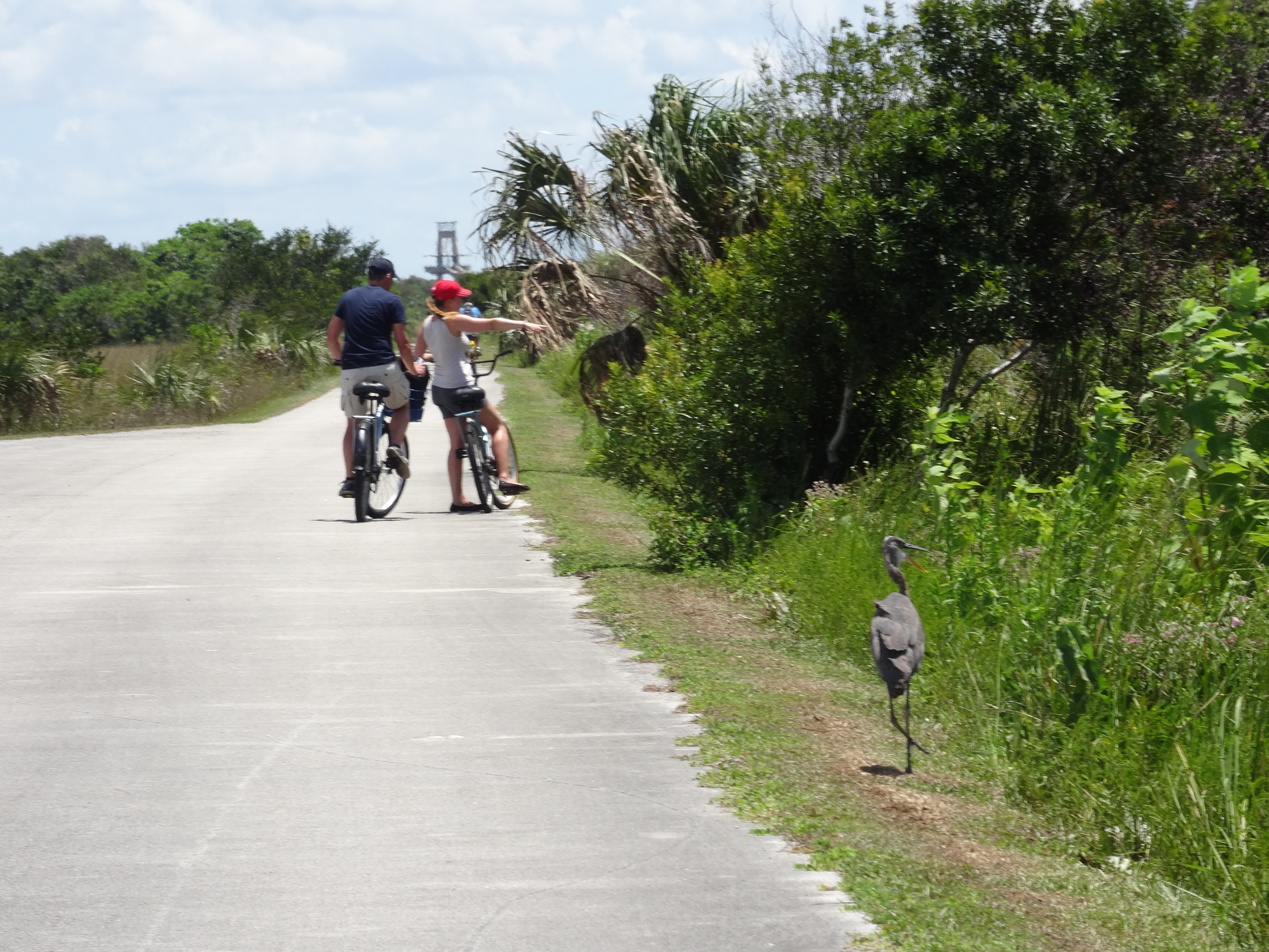 vélo everglades