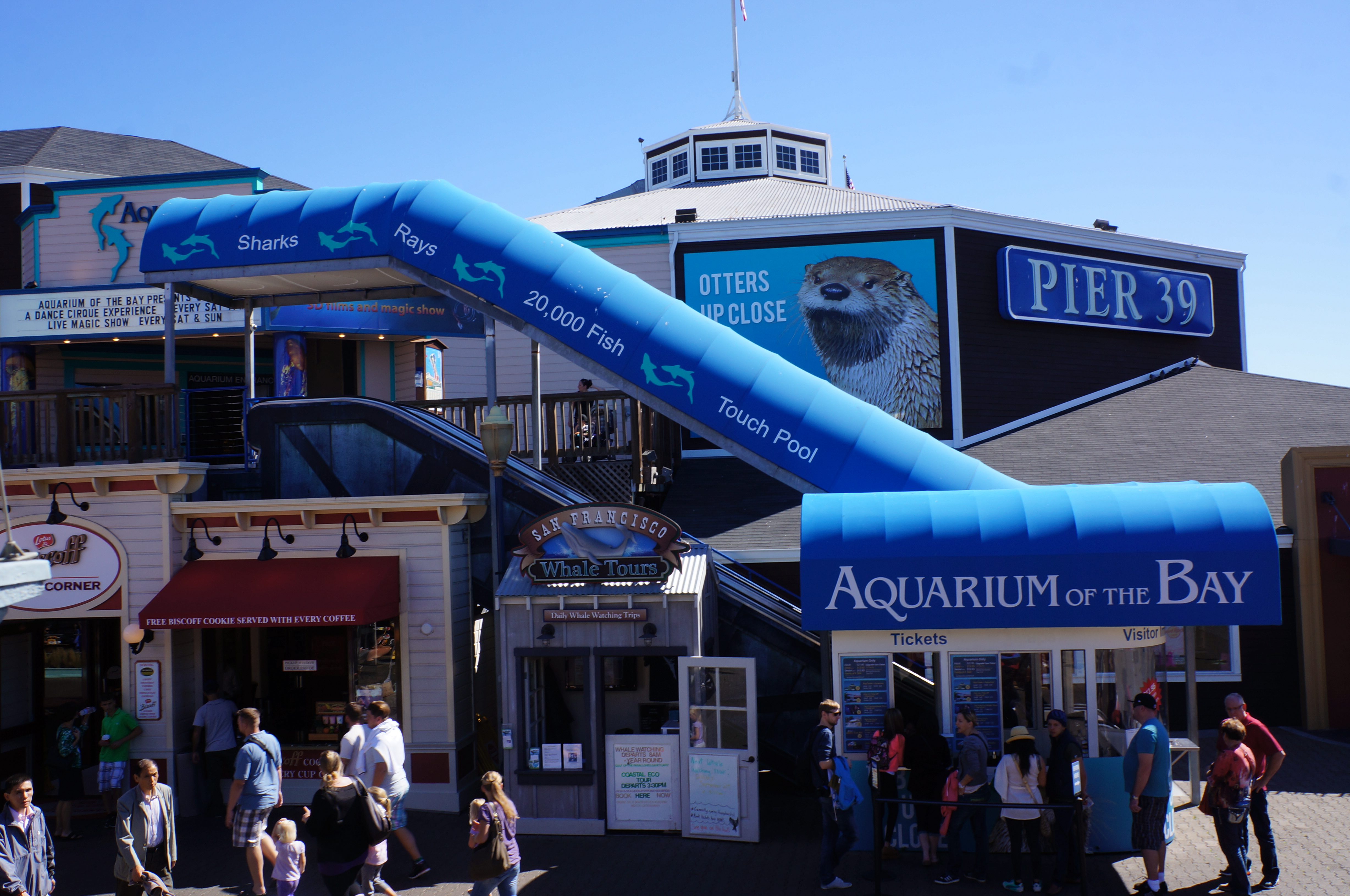 San Francisco Visite de l'Aquarium of the Bay Partons en Voyage