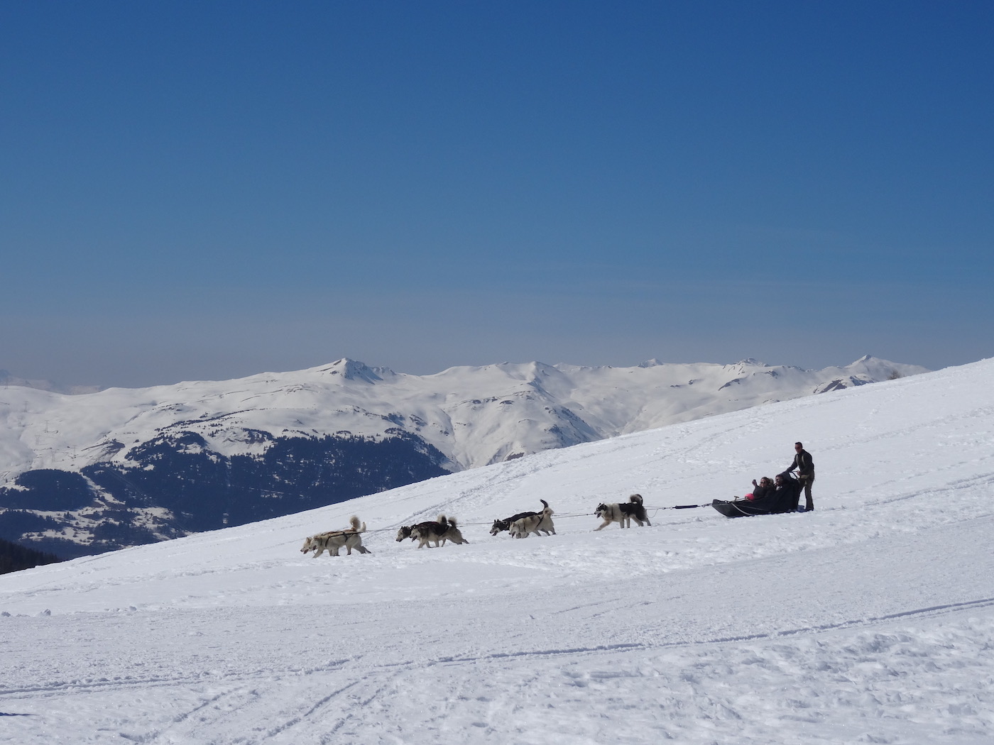 meilleur restaurant où manger à la plagne