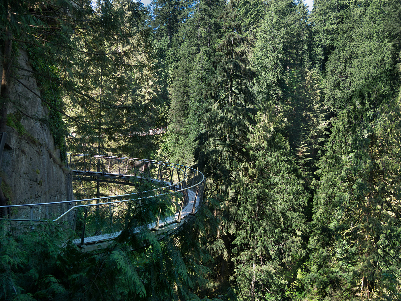 activités Capilano Suspension Bridge