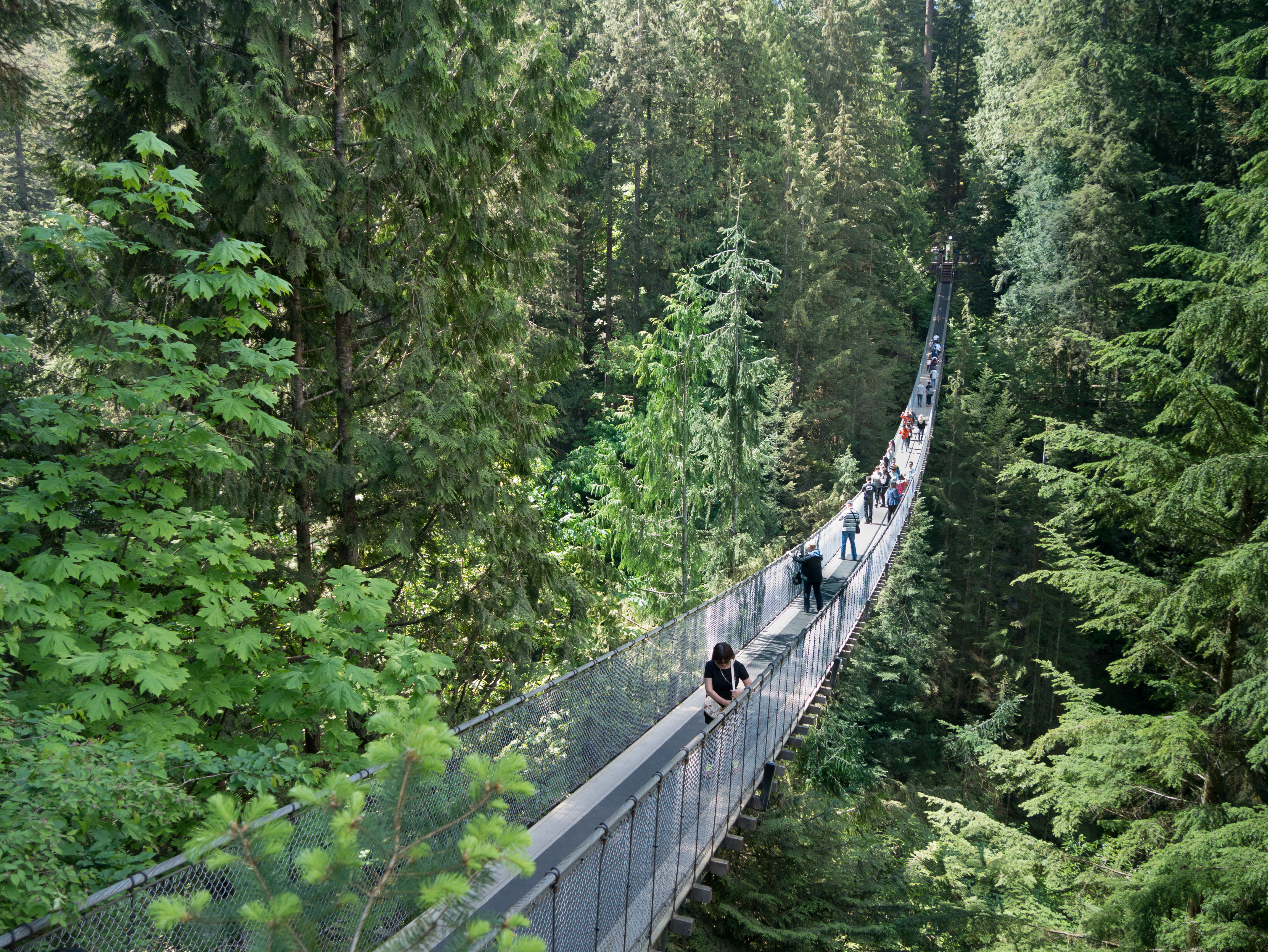 Pont Suspendu Capilano