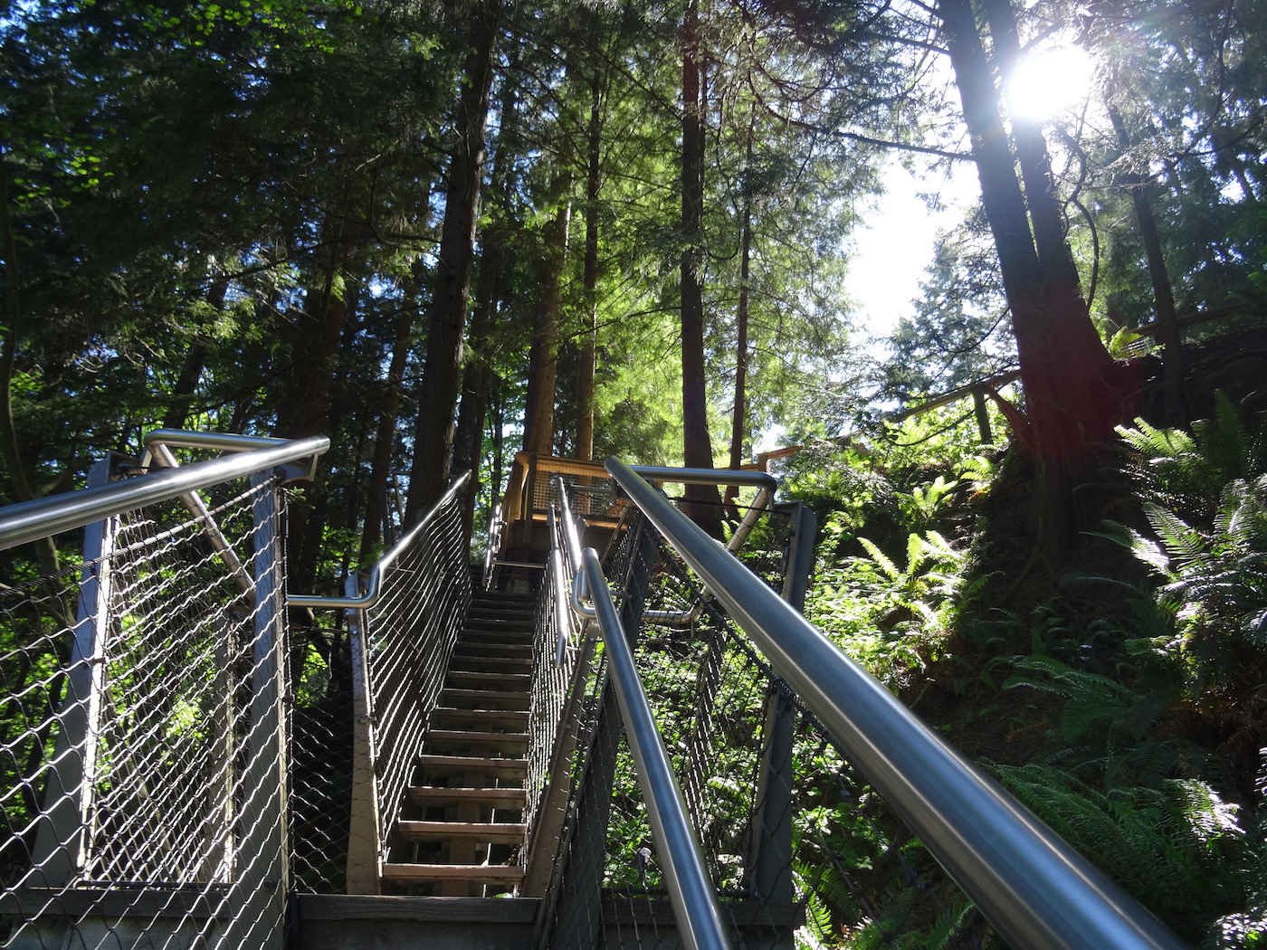 Pont Suspendu Capilano