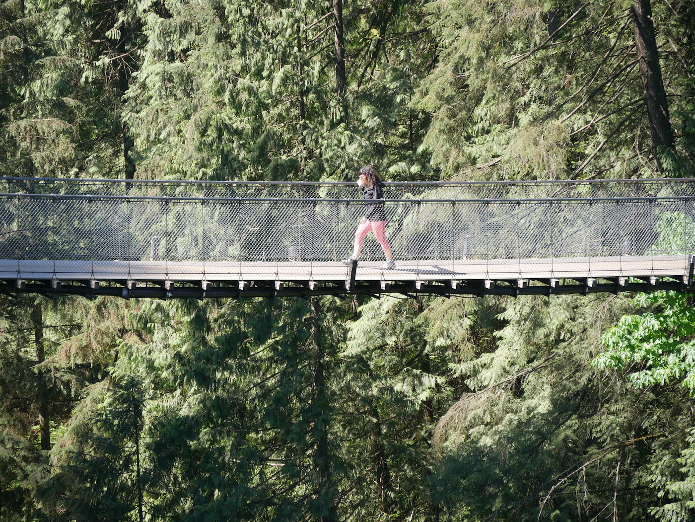 Capilano Suspension Bridge
