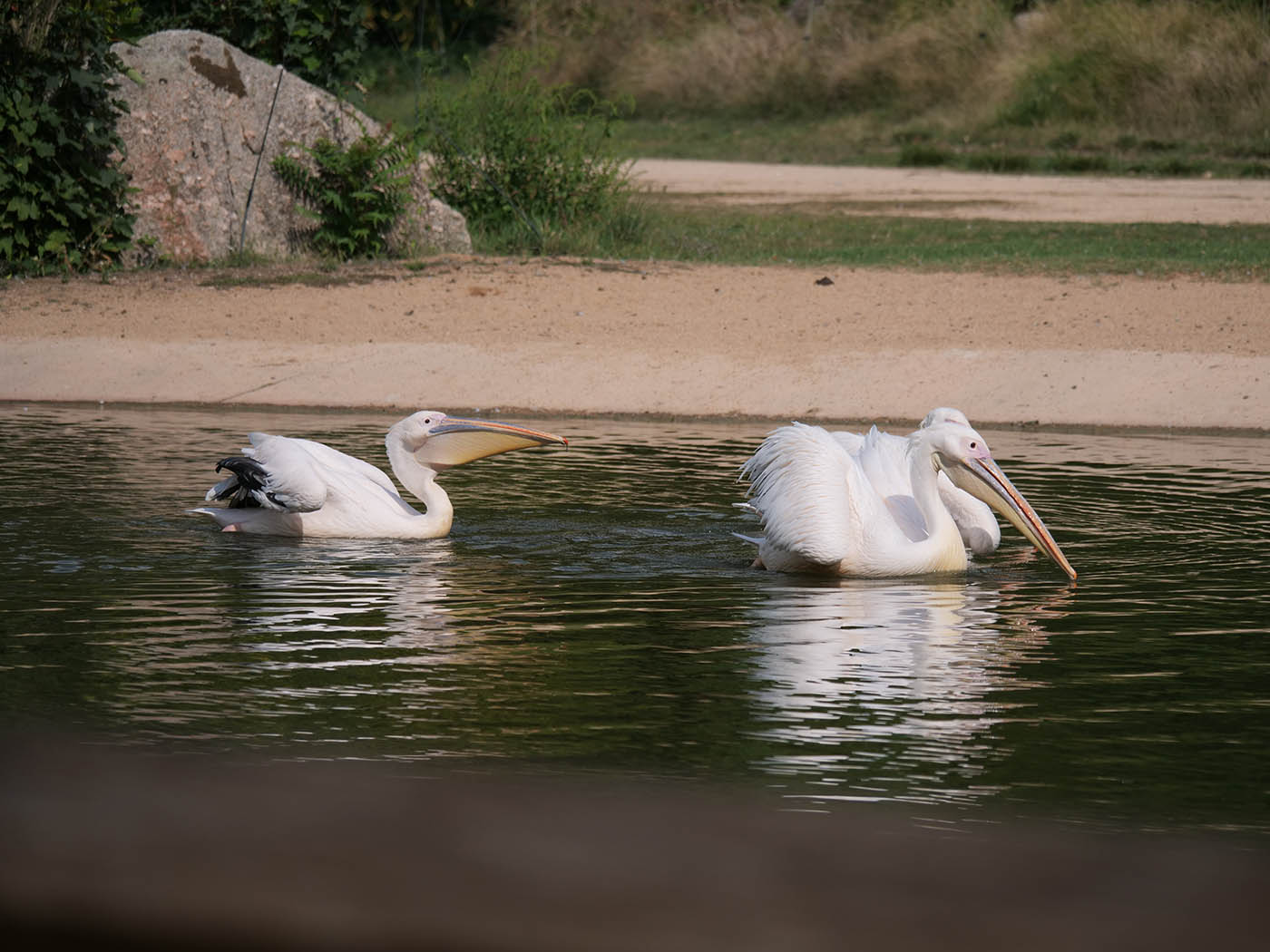 test Panasonic Lumix 100 300 mm