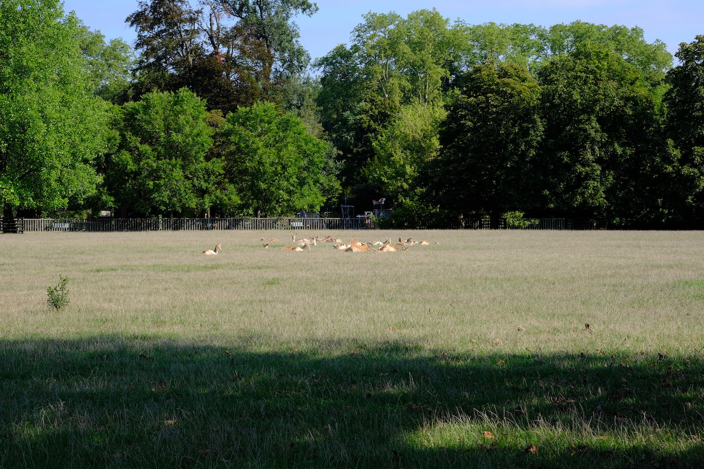 Objectif Fujinon Zoom test