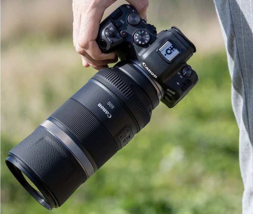 Canon EOS R6 comparatif