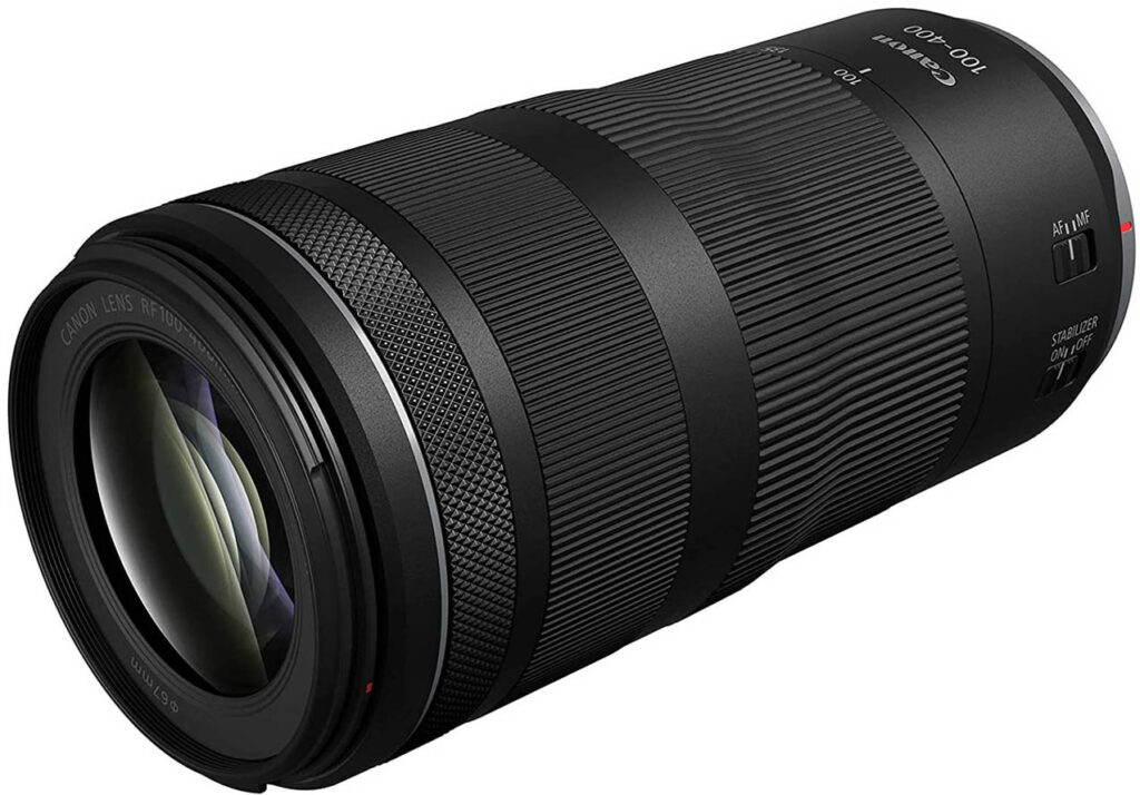 télé-objectif Canon EOS R6 pour photo animalière
