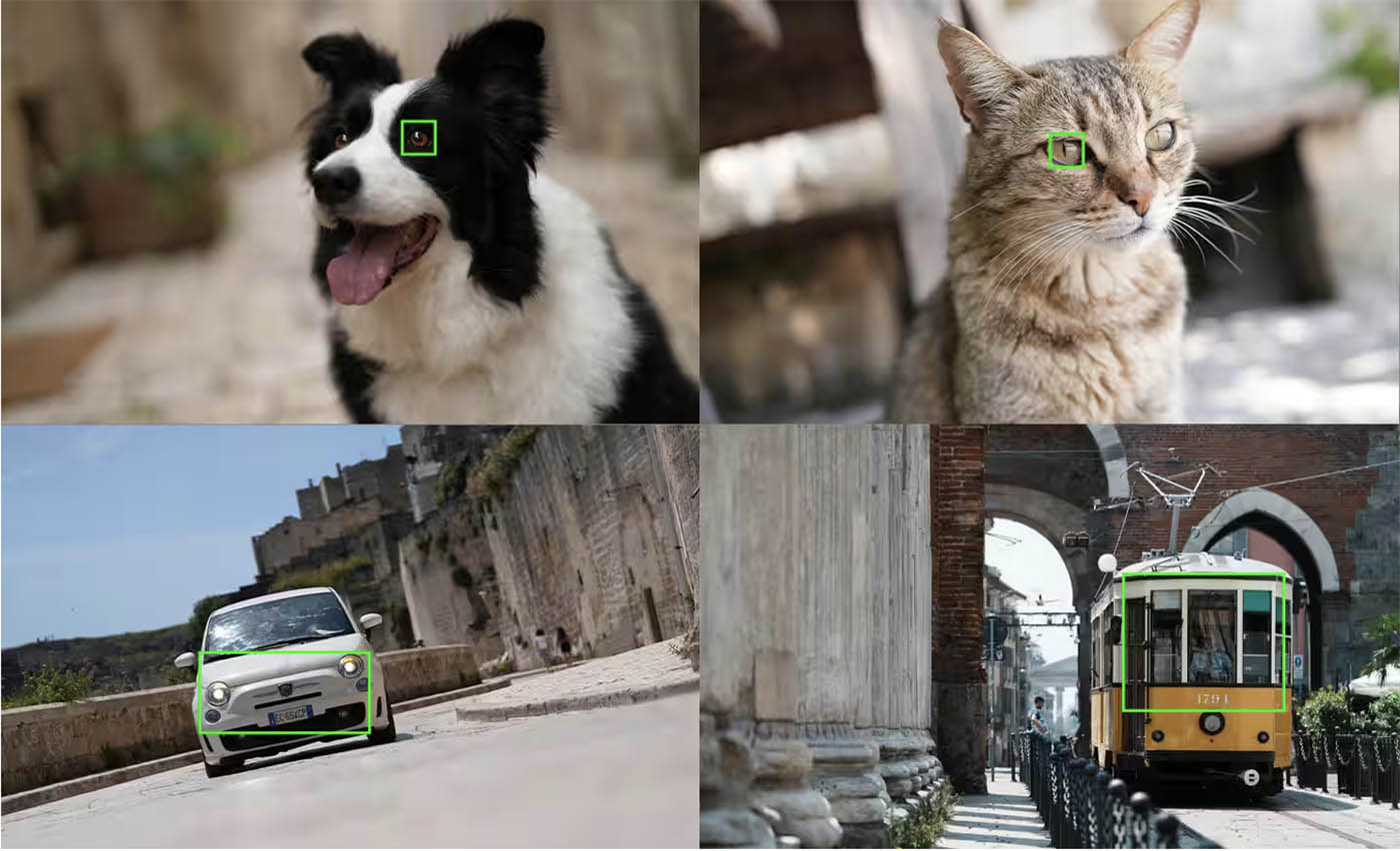 Sony a7CR autofocus